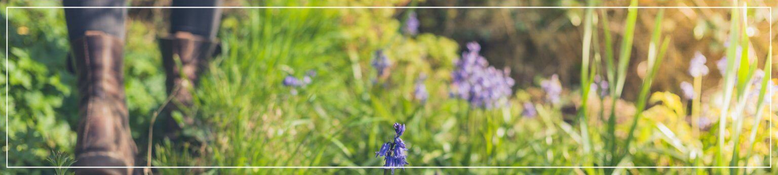 Men's Health Awareness Month - Oakwood Solicitors