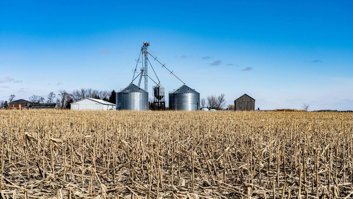 grain siloh on a farm