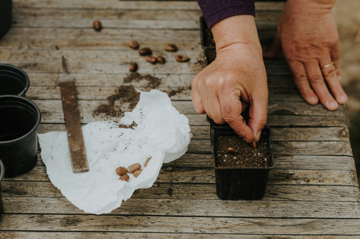 Planting the seeds of a charitable legacy: Opportunities for wealth advisers to talk legacy giving with clients