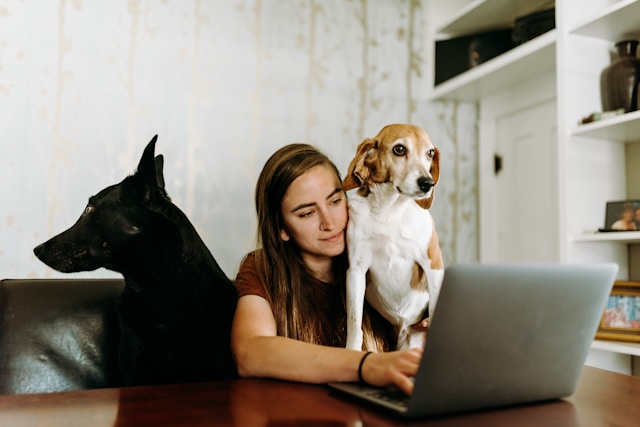 Family Law CPD Training Webinar – Pets in Family Breakdown 2025 From Chattels to Welfare