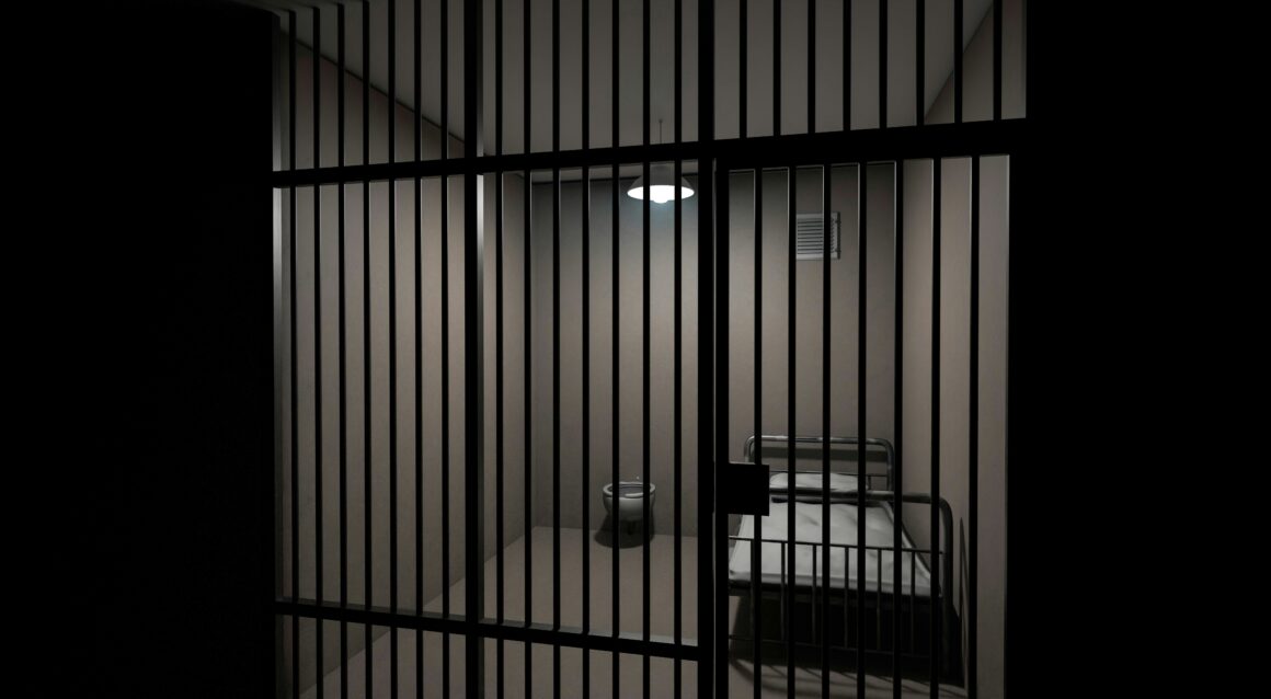 Domestic Homicide Sentencing Reform and its Relevance for Family Practitioners